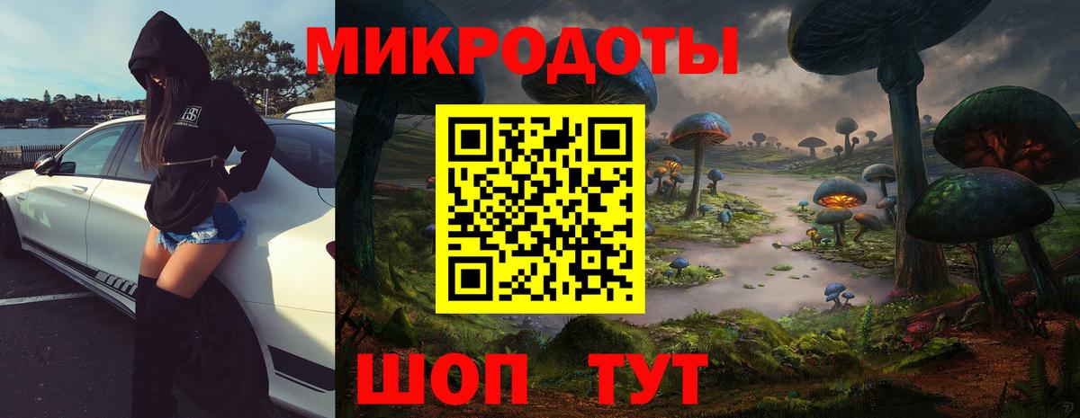 Псилоцибиновые грибы ЛСД Нерюнгри